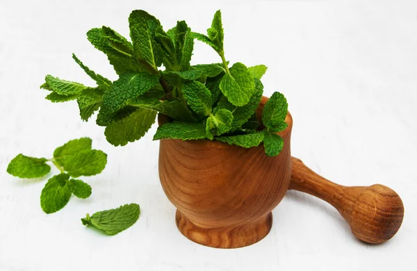 Mortar with mint — Stock Photo, Image