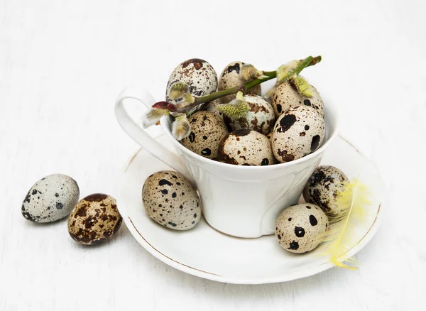 Quail eggs in cup — Stock Photo, Image