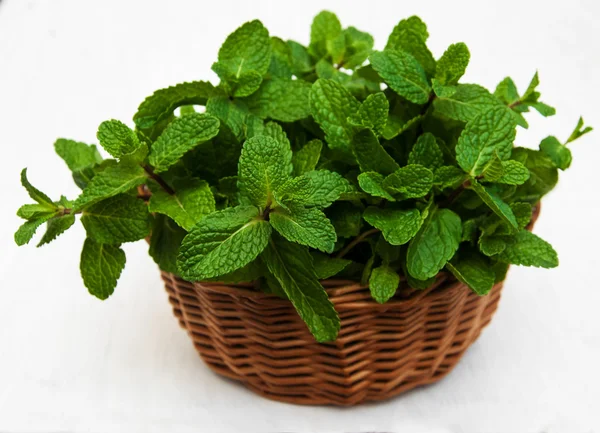 Mint in a basket — Stock Photo, Image