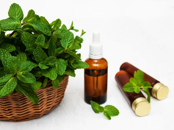 Bottles of mint oil and fresh mint — Stock Photo, Image