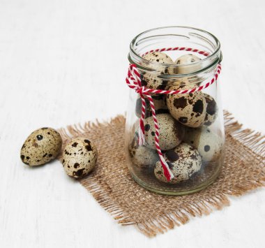 bıldırcın yumurtası 