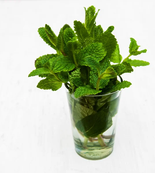 Bunch of fresh mint — Stock Photo, Image