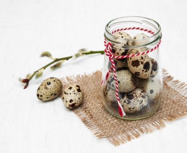 Söğüt dalı ile bıldırcın yumurtası