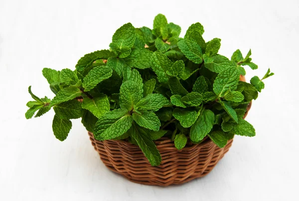 Mint in a basket — Stock Photo, Image