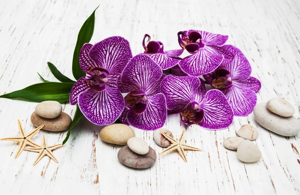 Orquídeas y piedra de masaje — Foto de Stock