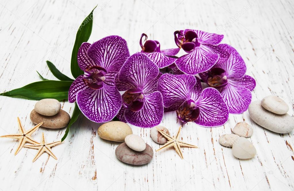 Orchids and massage stone