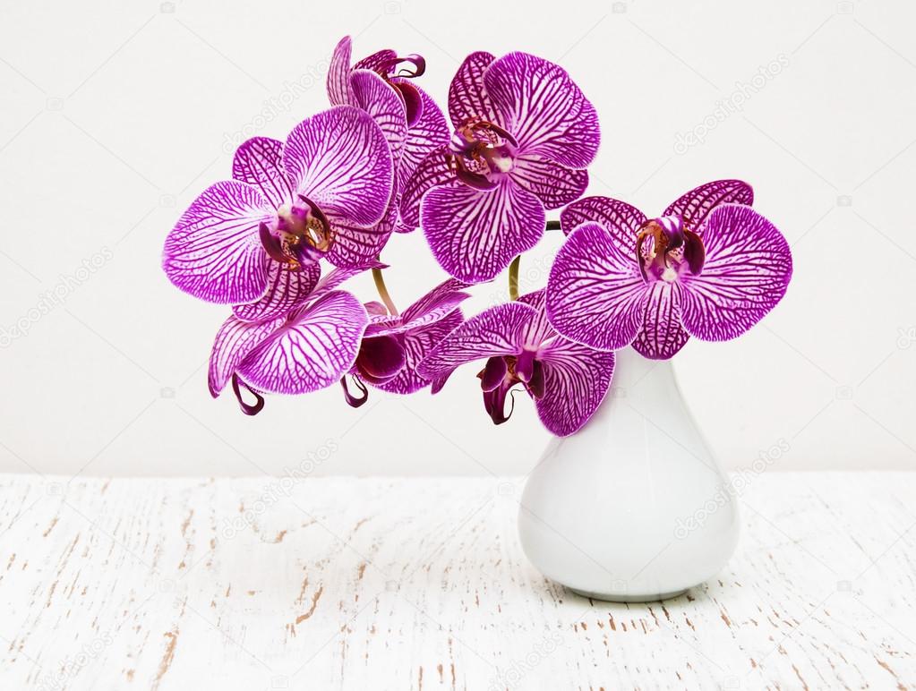 purple orchid flowers in vase