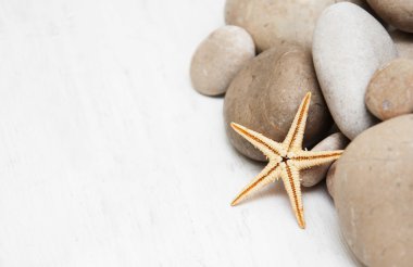 çakıl taşları ve denizyıldızı deniz arka plan