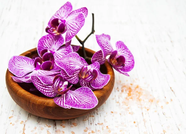Ciotola con orchidee — Foto Stock