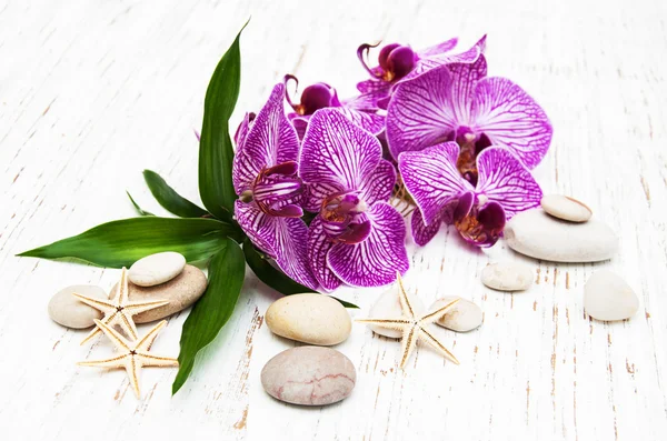 Orquídeas y piedra de masaje — Foto de Stock