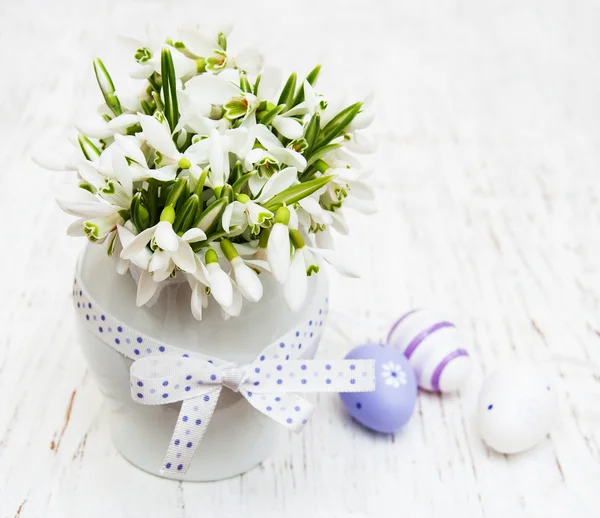 Eier und Frühlingsschneeglöckchen — Stockfoto