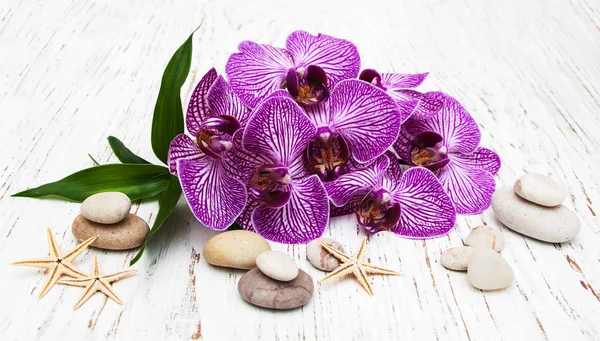 Orquídeas e pedra de massagem — Fotografia de Stock