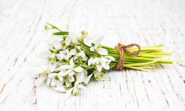 kardelen grup ahşap arka plan üzerinde