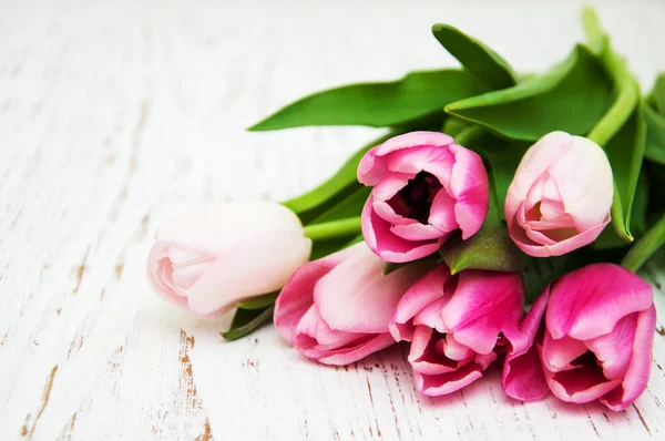 Bouquet of pink tulips — Stock Photo, Image