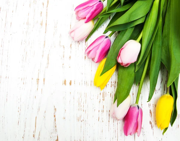 Bouquet of  tulips — Stock Photo, Image