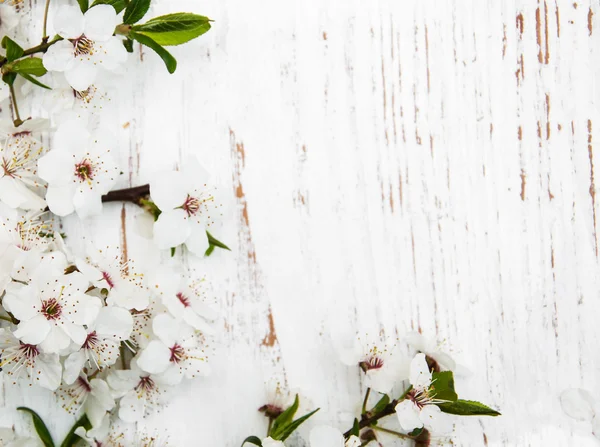 Flor de primavera sobre fondo de madera — Foto de Stock