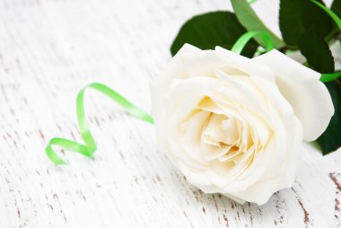 ahşap masa üzerinde beyaz gül