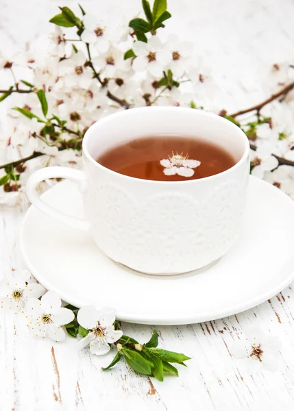 Cup of tea and spring blossom — Stock Photo, Image