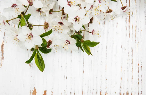 Fiori primaverili su fondo legno — Foto Stock