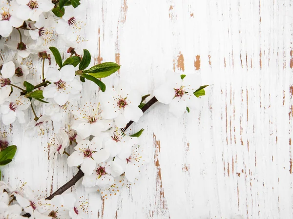 Fiori primaverili su fondo legno — Foto Stock