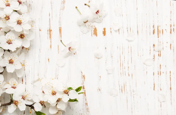 Fiori primaverili su fondo legno — Foto Stock