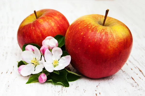 Manzanas y flores de manzanos — Foto de Stock