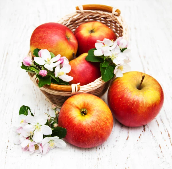 Apples  and apple tree blossoms — Stock Photo, Image