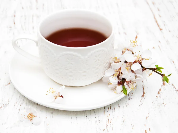 Cup of tea and spring blossom — Stock Photo, Image