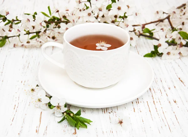 Cup of tea and spring blossom — Stock Photo, Image