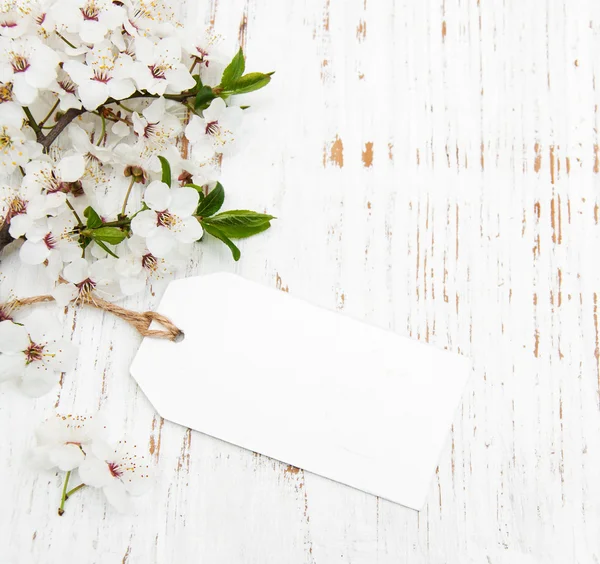 Blossom with card — Stock Photo, Image