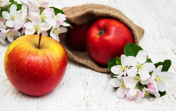 Apples  and apple tree blossoms — Stock Photo, Image