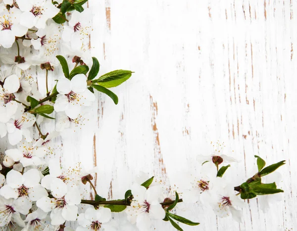 Fiori primaverili su fondo legno — Foto Stock