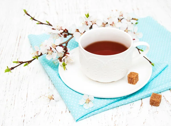 Tazza di tè e fiori di primavera — Foto Stock