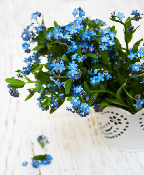 Olvídame de las flores. —  Fotos de Stock