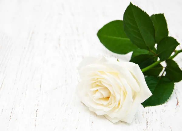 Белая роза на деревянном столе — стоковое фото