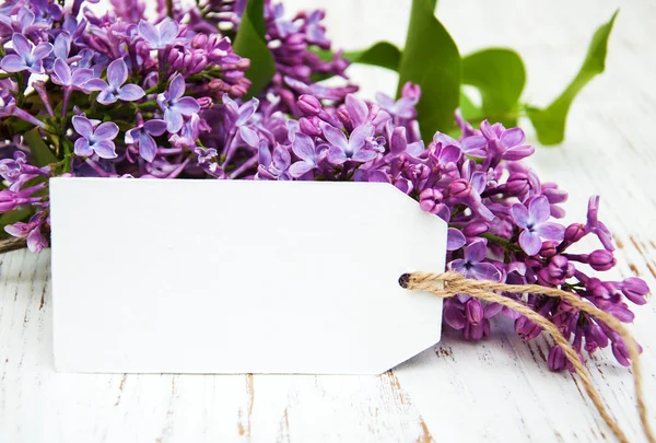 Lilac flowers with empty tag — Stock Photo, Image