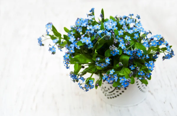 Kwiaty Forget-me-nots — Zdjęcie stockowe