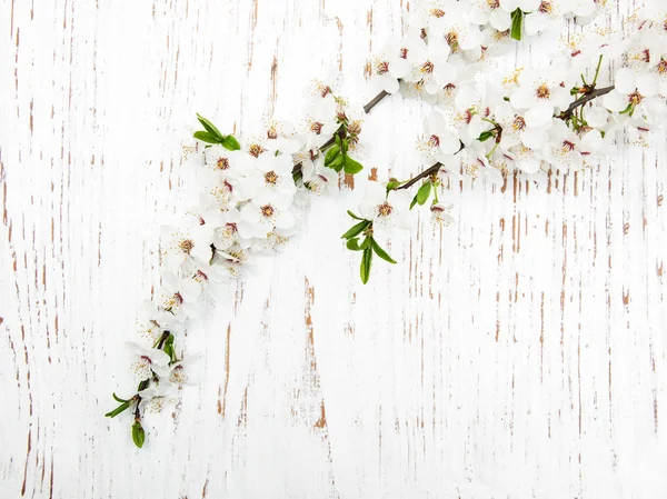 Fiori primaverili su fondo legno — Foto Stock