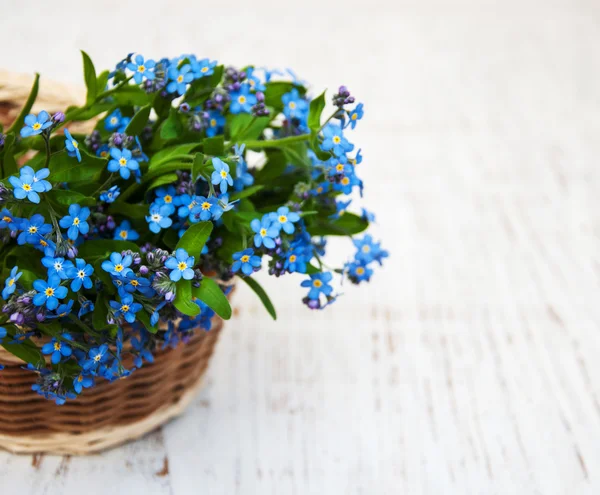 Kwiaty Forget-me-nots — Zdjęcie stockowe