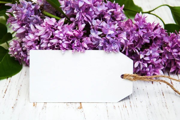 Lilac flowers with empty tag — Stock Photo, Image