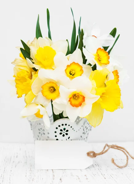 Flores de narciso com cartão — Fotografia de Stock