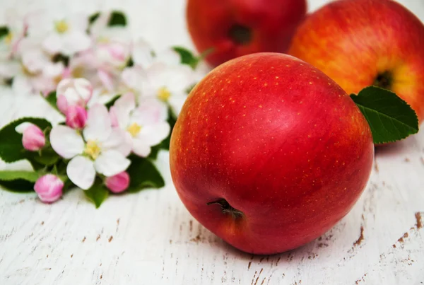 Manzanas y flores de manzanos — Foto de Stock