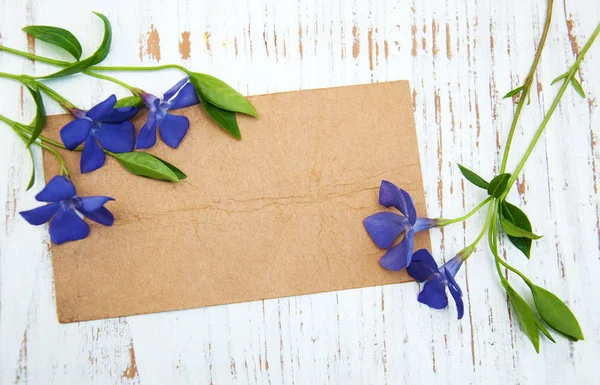 Periwinkle flowers with card — Stock Photo, Image