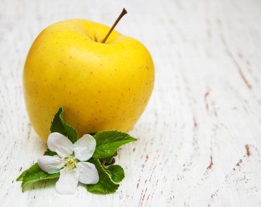 elma ve elma ağacının çiçekleri