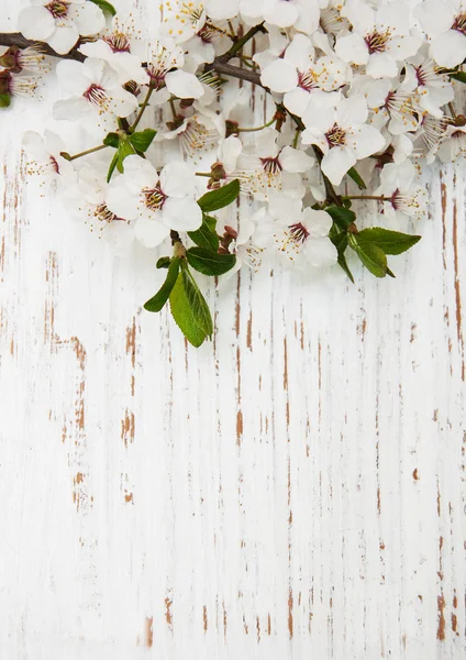 Fiori primaverili su fondo legno — Foto Stock