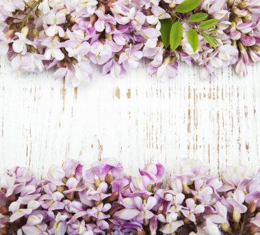 Akasya ile çiçek sınır