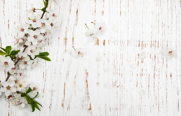 Fiori primaverili su fondo legno — Foto Stock