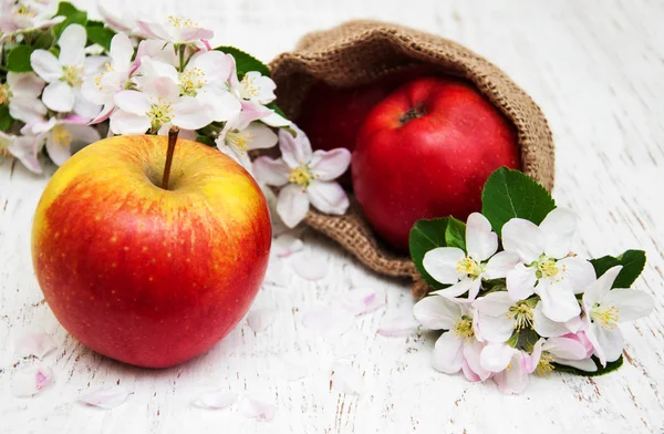 Apples and apple tree blossoms — Stock Photo, Image