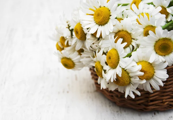 Bouquet of daisies in a basket — Stock Photo, Image