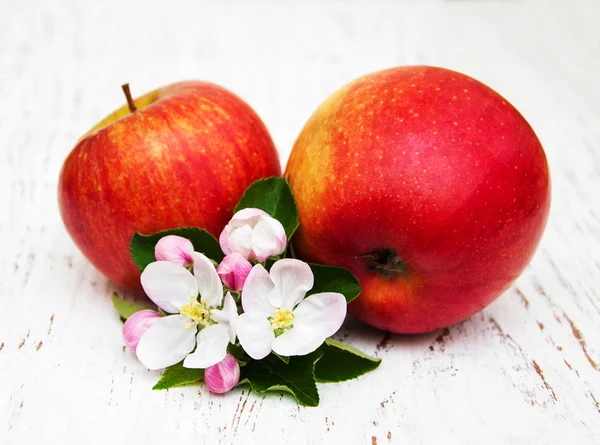 Manzanas y flores de manzanos — Foto de Stock